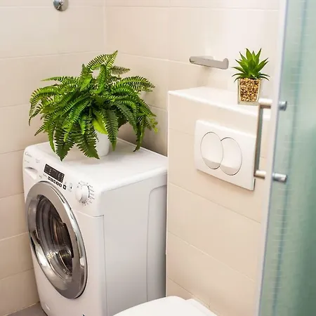 Apartamento Ln New